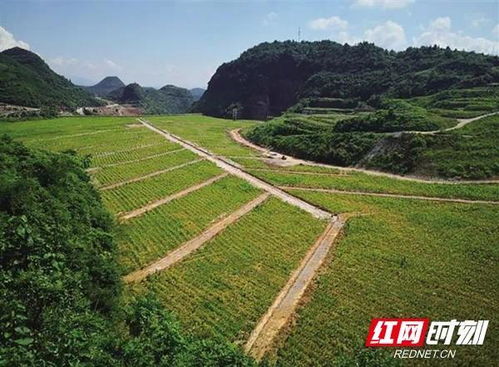 湖南生態(tài)環(huán)境保護(hù) 以“人民戰(zhàn)爭(zhēng)”匯聚磅礴力量，筑牢生態(tài)安全屏障